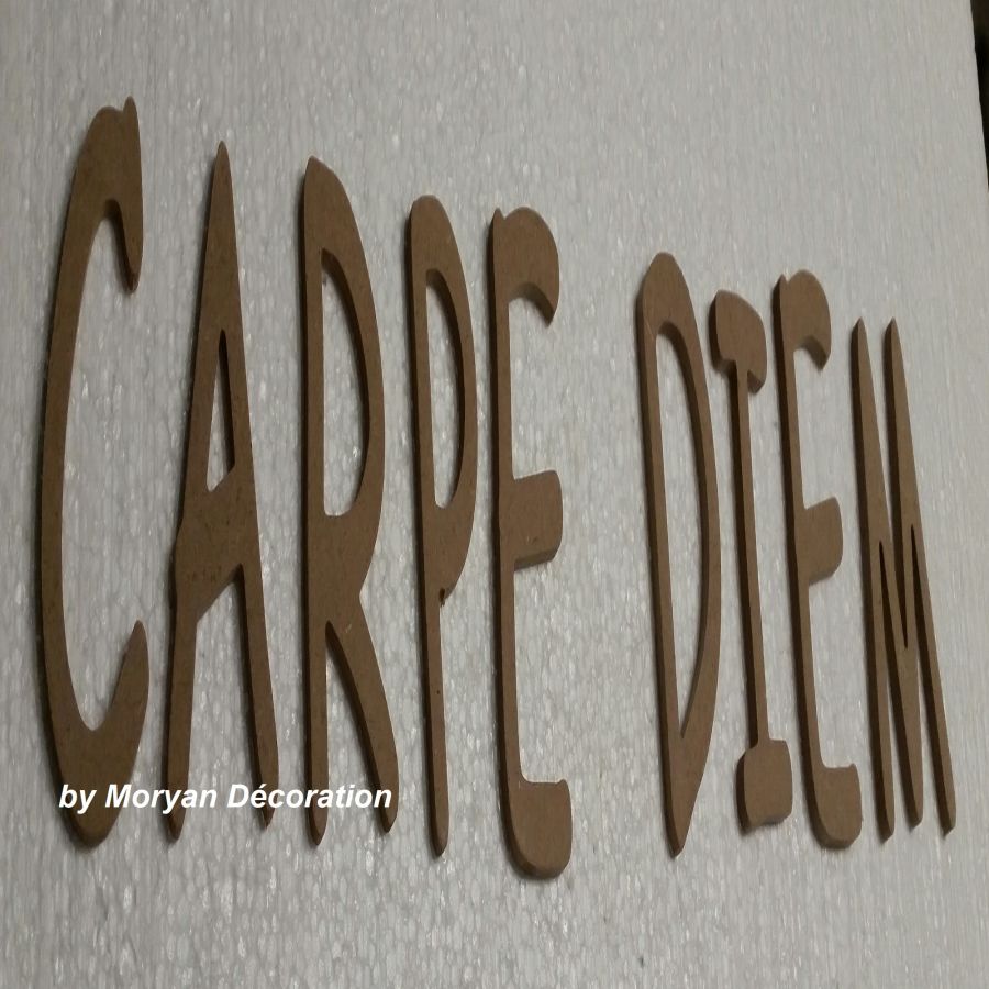 Lettre en bois decorative CARPE DIEM