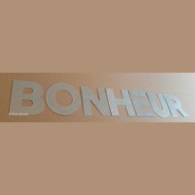 Lettre decorative en zinc BONHEUR 10 cm